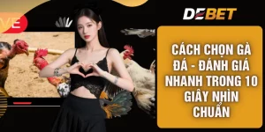 Cách Chọn Gà Đá - Đánh Giá Nhanh Trong 10 Giây Nhìn Chuẩn