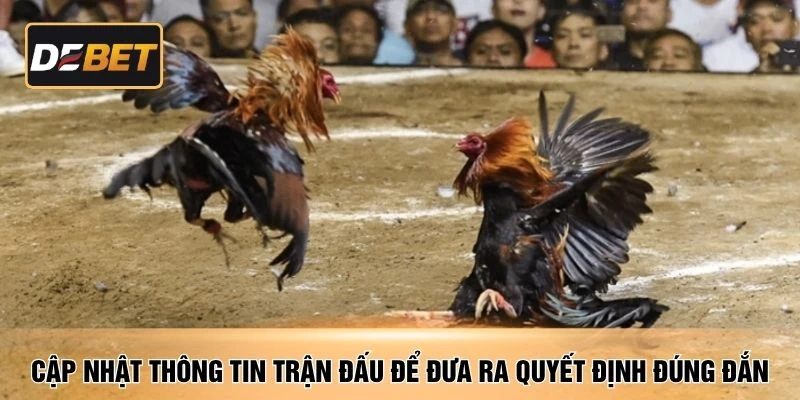 Cập nhật thông tin trận đấu để đưa ra quyết định đúng đắn