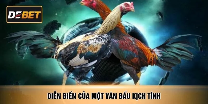 Diễn biến của một ván đấu kịch tính