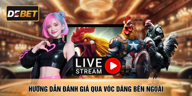 Hướng dẫn đánh giá qua vóc dáng bên ngoài