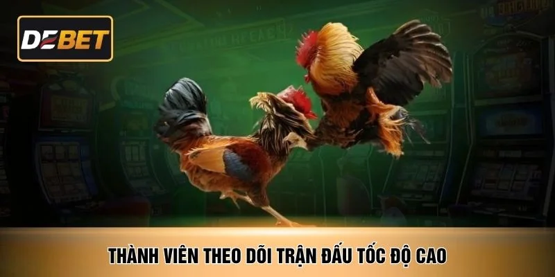 Thành viên theo dõi trận đấu tốc độ cao